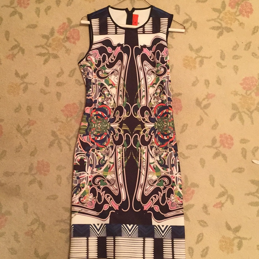 Clover canyon dress.